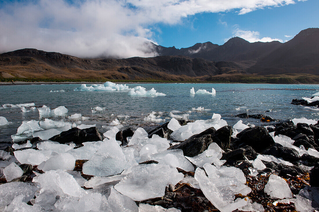 Kunstvoll geformte Eisbrocken am Strand, Jason Harbour, Südgeorgien, Antarktis