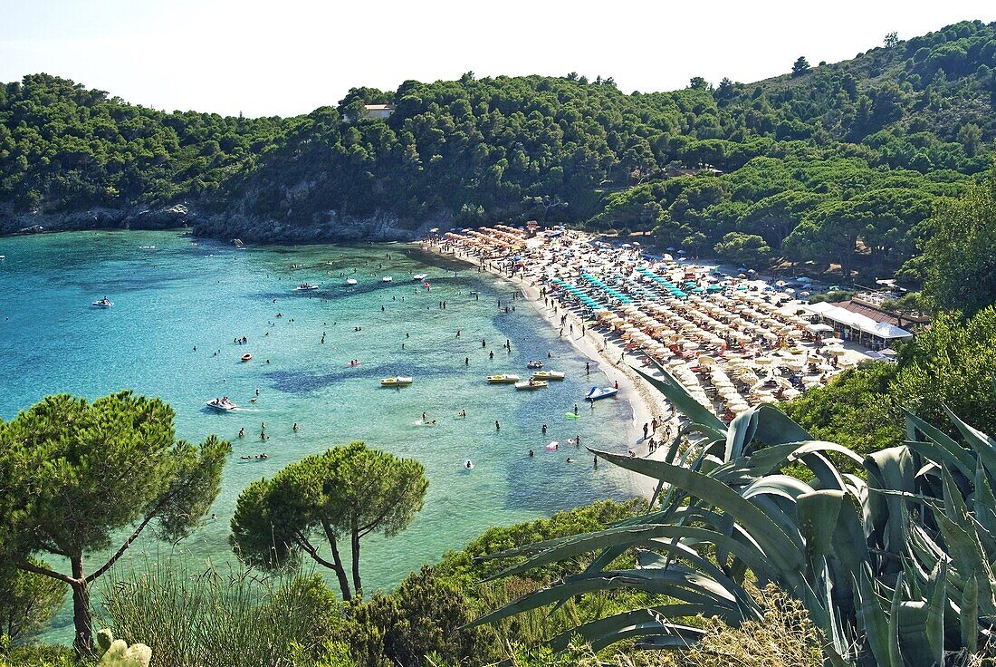 Fetovaia, Isola d'Elba, Elba, Tuscany, Italy, Europe