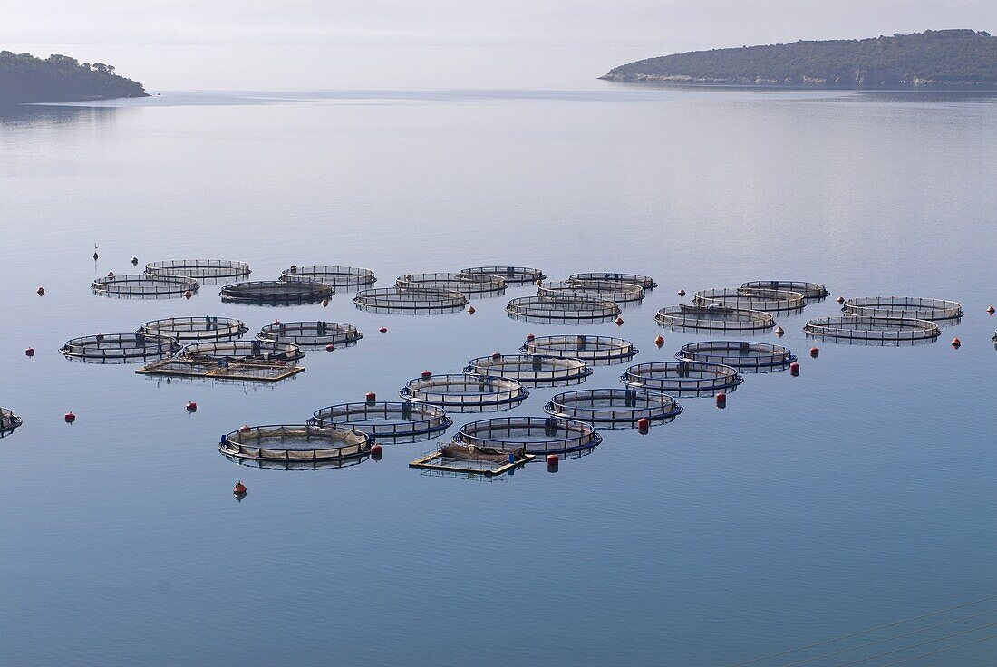 Fishing farm near Galaxidi, Greece, Europe