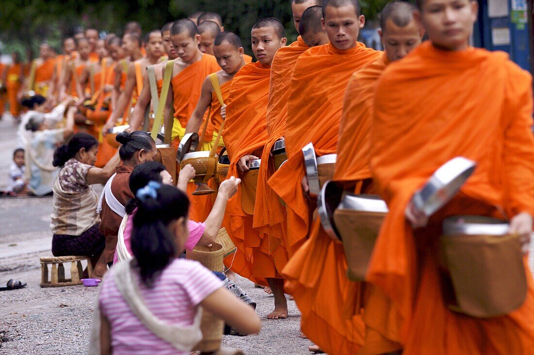 Monks processing at dawn for alms of rice in Luang Prabang, Laos, Indochina, Southeast Asia, Asia