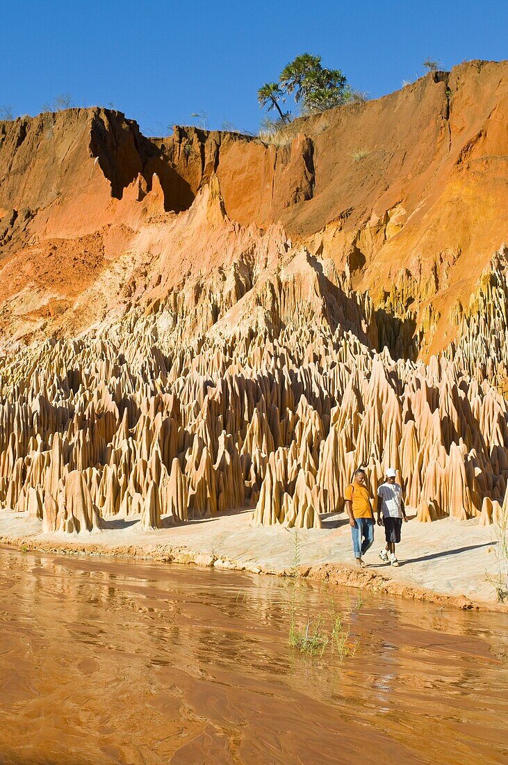Red Tsingys, strange looking sandstone formations, near Diego Suarez (Antsiranana), Madagascar, Africa
