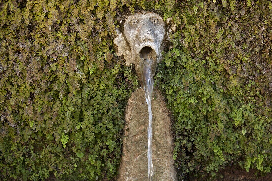 Detail of the fountain of the 100 faces in Villa D'Este, Tivoli, Lazio, Italy, Europe