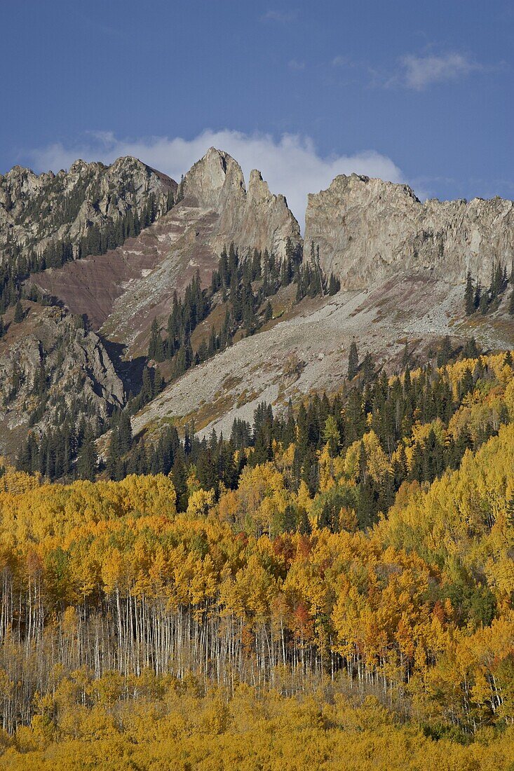 The Dyke with the fall colours, Grand Mesa-Uncompahgre-Gunnison National Forest, Colorado, United States of America, North America