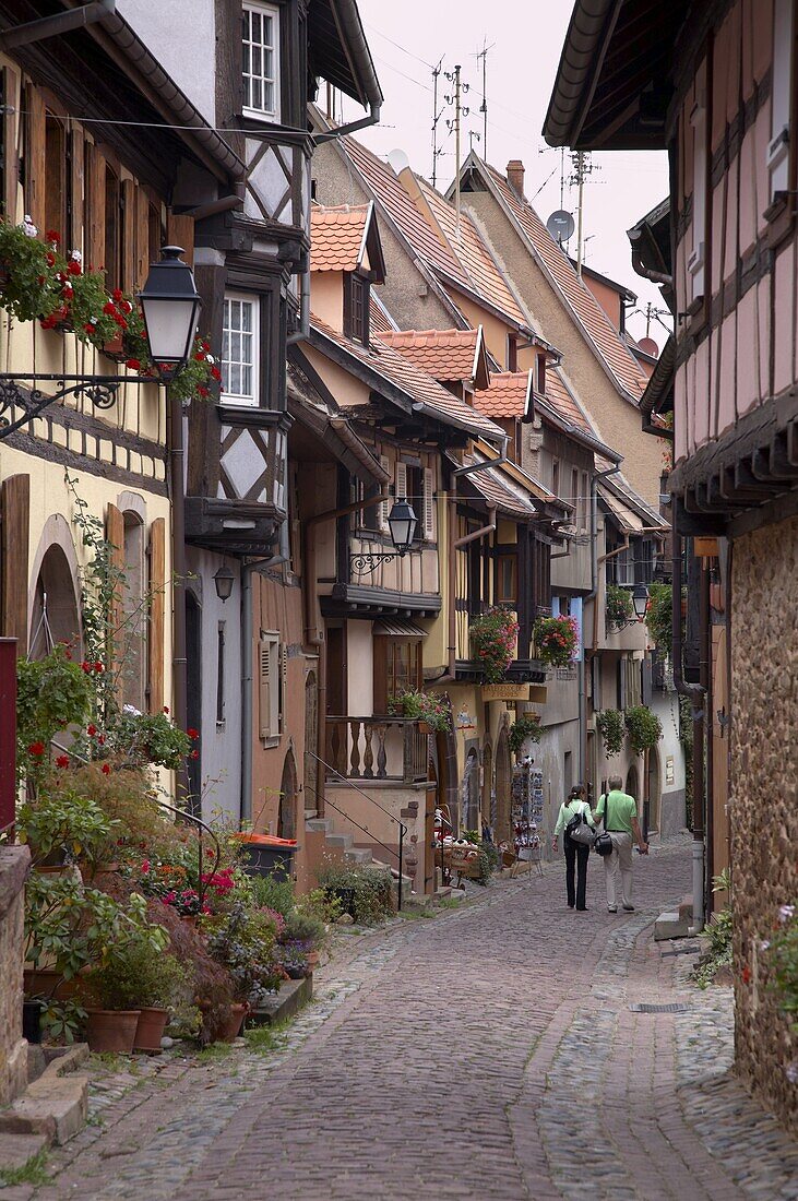 A street with traditional half-timbered houses in the charming village of  Eguisheim, Alsatian Wine Road, Haut Rhin, Alsace, France, Europe