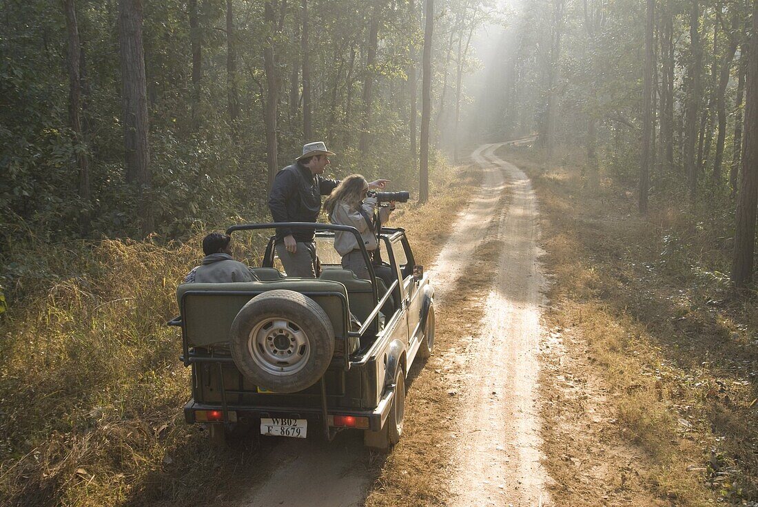 Tourists on morning safari, Kanha, Madhya Pradesh, India, Asia