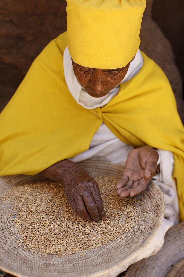 Nun sorting wheat in Bet Maryam church courtyard, Lalibela, Wollo, Ethiopia, Africa