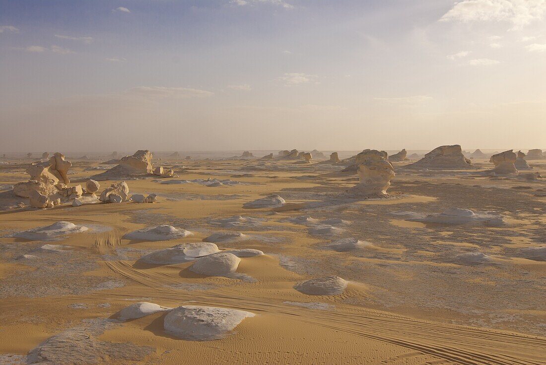 Wind-eroded sculptures of calcium rich rock in The White Desert near Bahariya, Egypt, North Africa, Africa