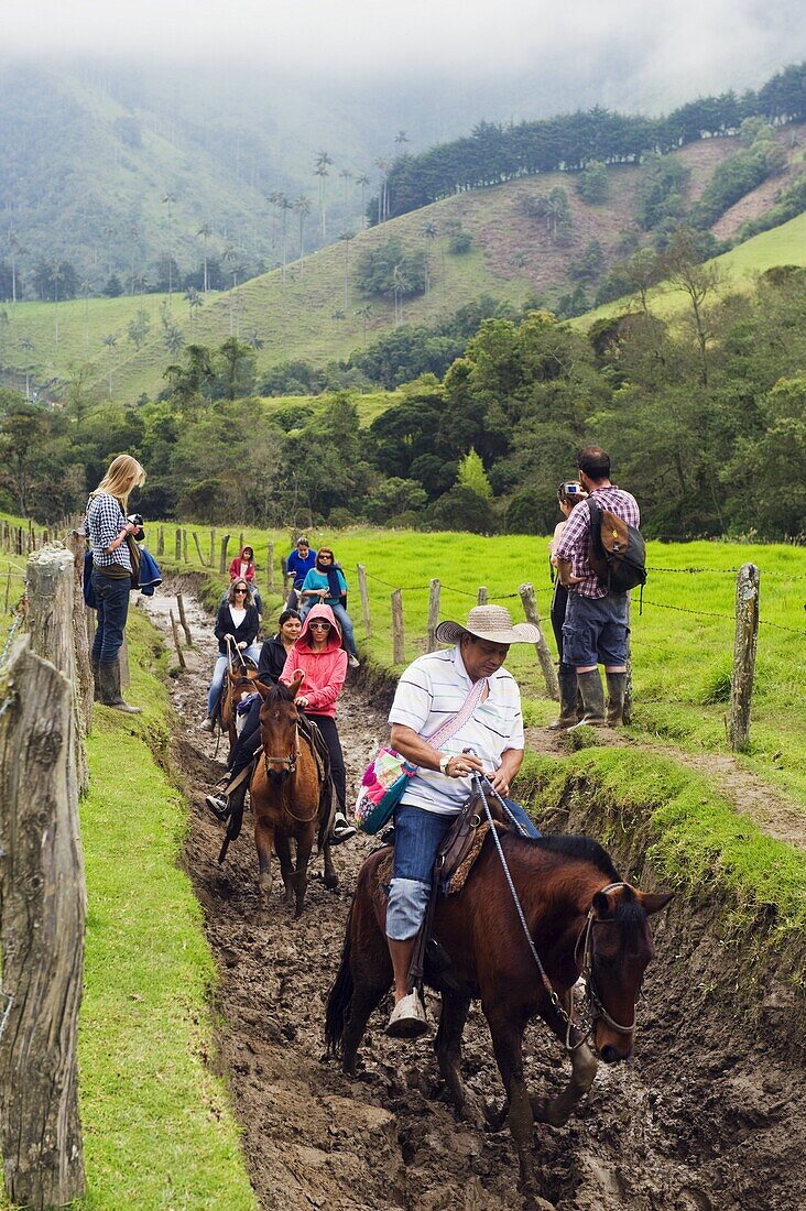 Horse riding in Cocora Valley, Salento, Colombia, South America
