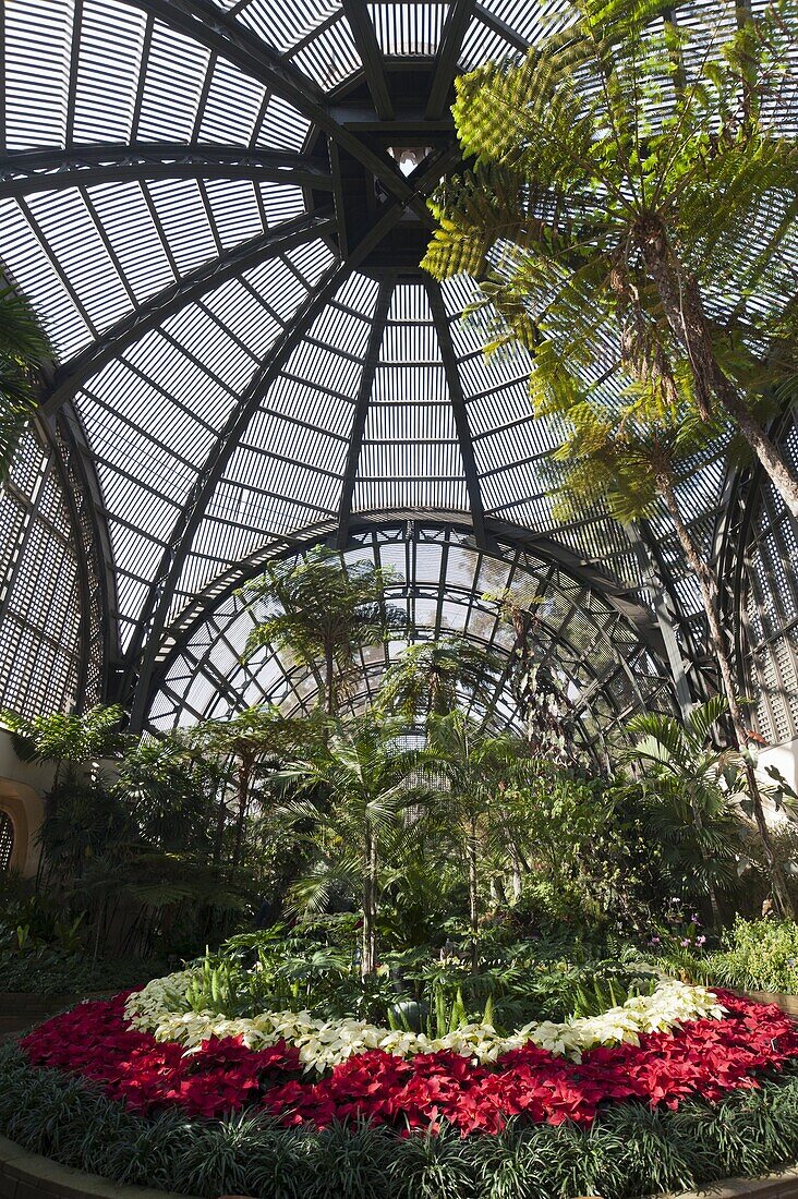 Botanical Building, Balboa Park, San Diego, California, United States of America, North America