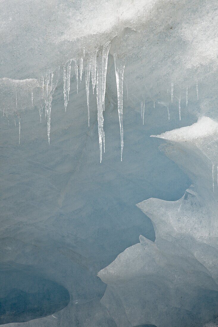 Icicles on the face of the Athabasca Glacier, Jasper National Park, UNESCO World Heritage Site, Alberta, Canada, North America