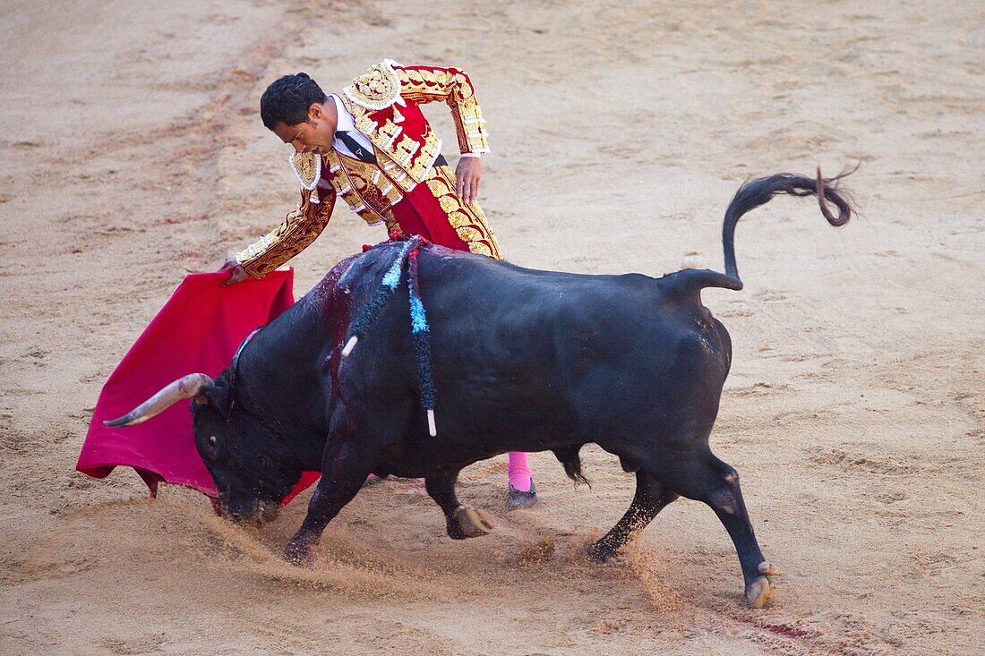 Bullfight, Plaza de Toros, San Fermin Fiesta, Pamplona, Navarra, Spain, Europe