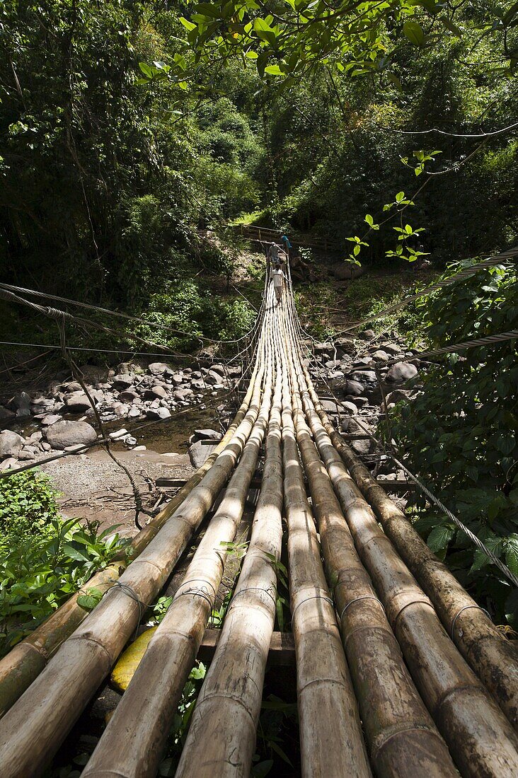 Bamboo bridge at Dark View Falls, St. Vincent and The Grenadines, Windward Islands, West Indies, Caribbean, Central America