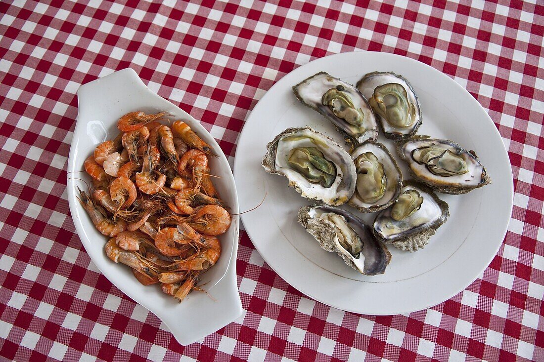 Close up of shrimps and oysters on check tablecloth, Boracay, Aklan, Philippines, Southeast Asia, Asia