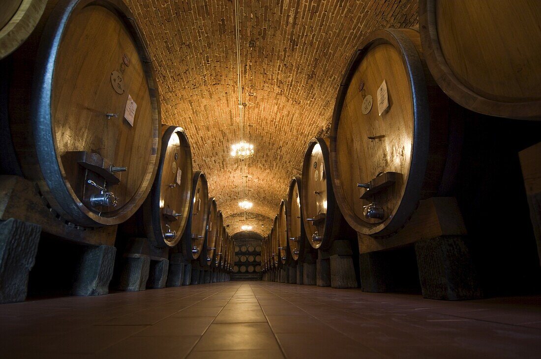 Wine casks in the wine cellars of the Villa Vignamaggio, a wine producer whose wines were the first to be called Chianti, near Greve, Chianti, Tuscany, Italy, Europe