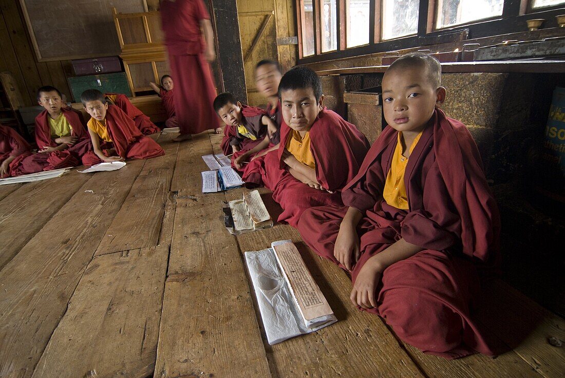 Group of young Buddhist monks learning, Chimi Lhakhang, Bhutan, Asia