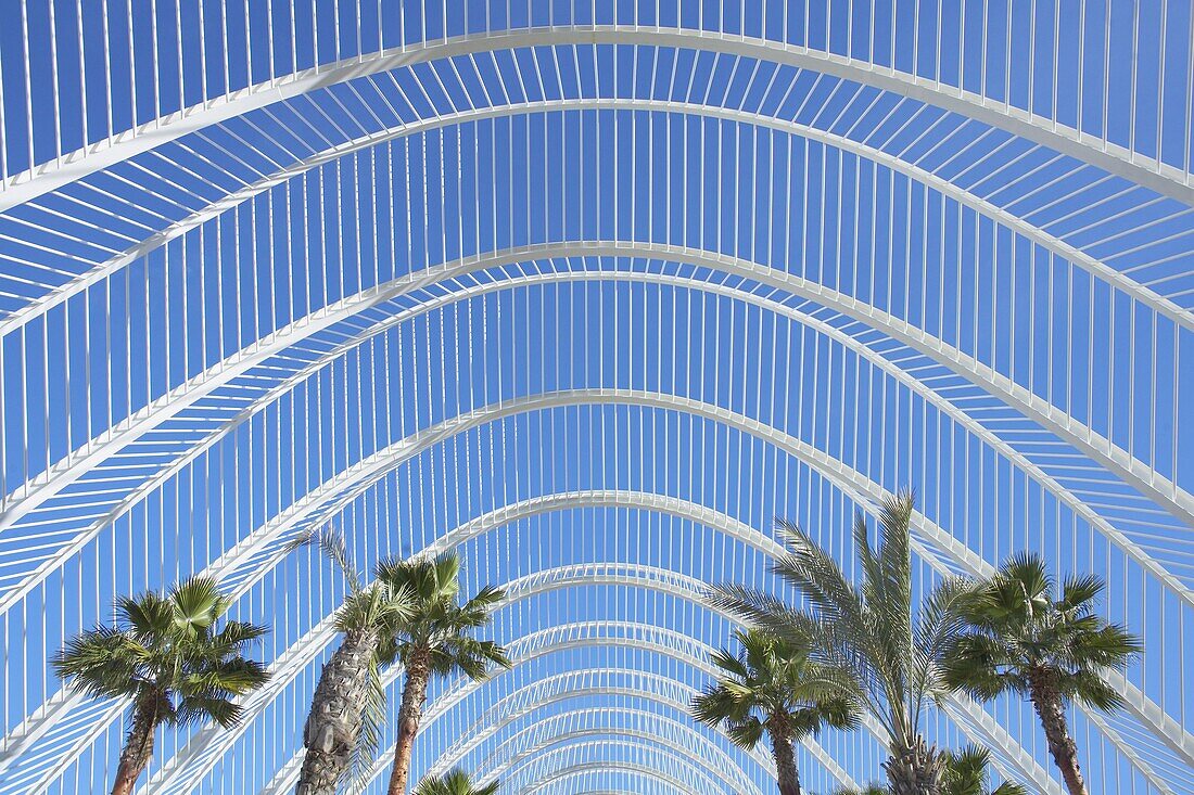 The Umbracle, City of Arts and Sciences, Valencia, Spain, Europe