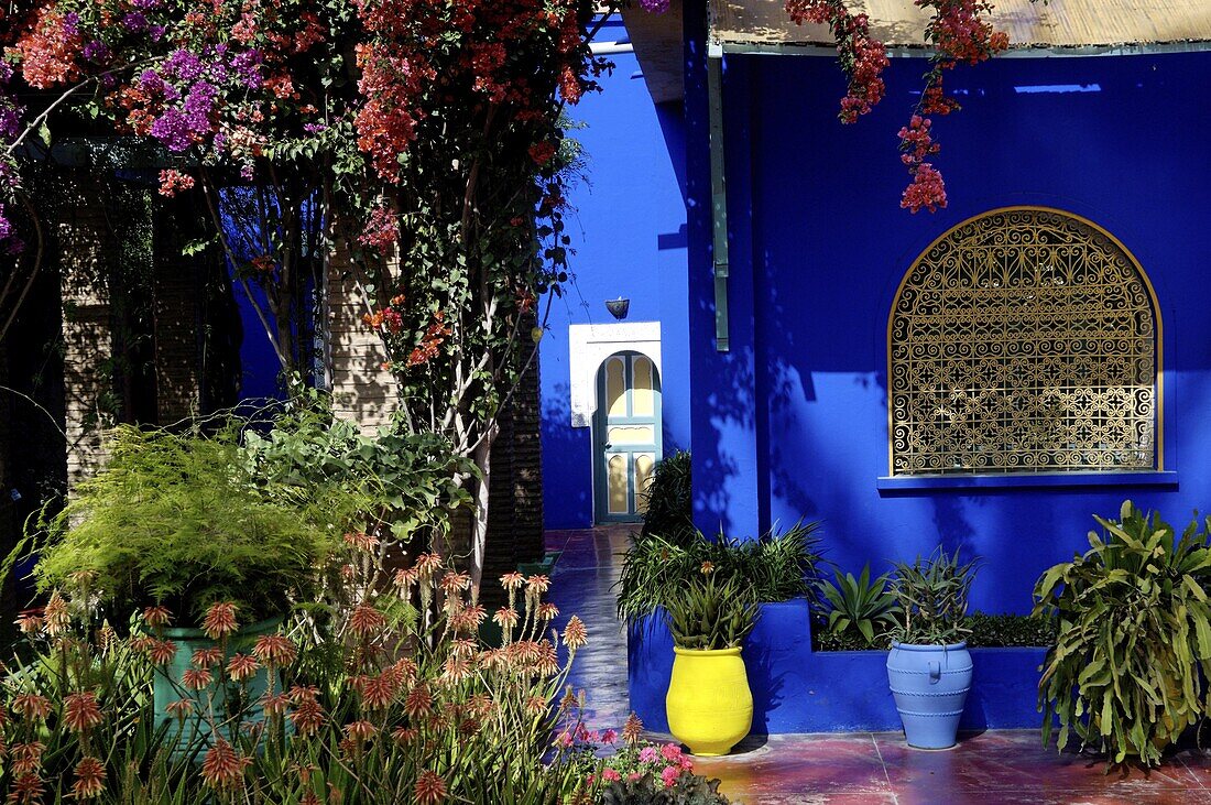 The Majorelle Garden, created by the French cabinetmaker Louis Majorelle, and restored by the couturier Yves Saint-Laurent, Marrakesh, Morocco, North Africa, Africa
