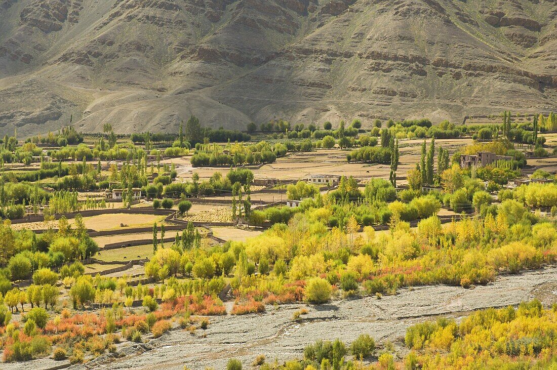 Indus Valley and Ladakh Range, Ladakh, Indian Himalayas, India, Asia