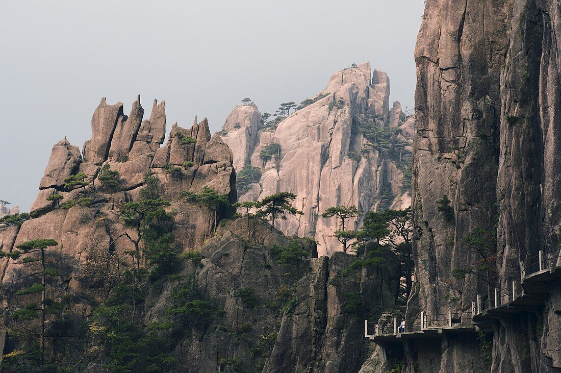 Footpath along rock face, Xihai (West Sea) Valley, Mount Huangshan (Yellow Mountain), UNESCO World Heritage Site, Anhui Province, China, Asia