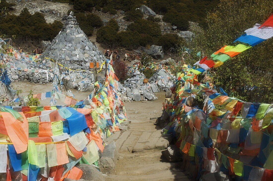 Prayer flags, Yading Nature Reserve, Sichuan Province, China, Asia