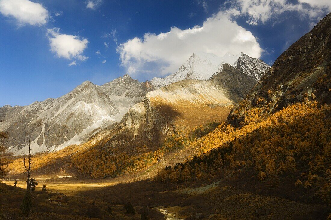 Xiaruoduojio mountain, Yading Nature Reserve, Sichuan Province, China, Asia