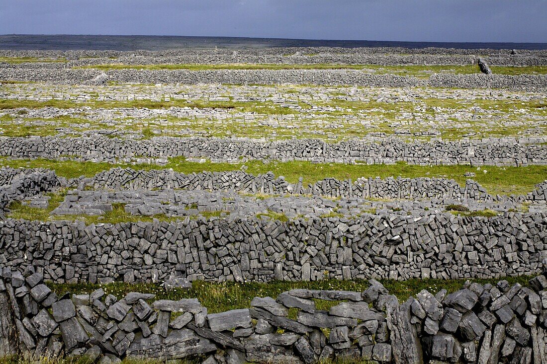 Stone walls on Inis Mor (Inishmore), Aran Islands, Republic of Ireland, Europe