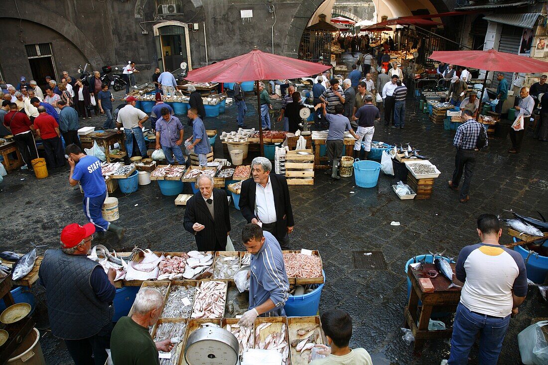 La Pescheria, Cataina's fish market, Catania, Sicily, Italy, Europe