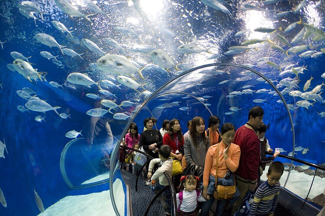 Tourists at the Shanghai Aquarium in Pudong District, Shanghai, China, Asia