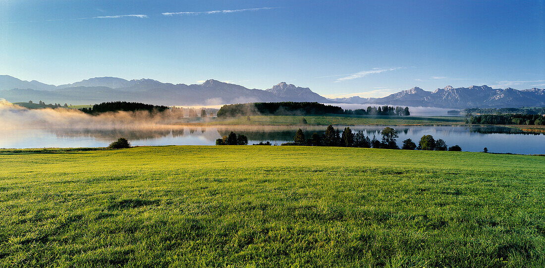 Am Ilasbergsee, Forggensee, Ostallgäu, Bayern, Deutschland