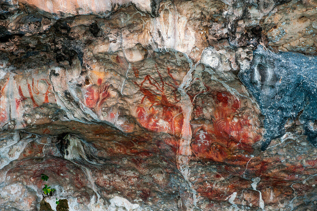 Felsmalerei mit Händen in einer Höhle, Arguni, Papua, Indonesien, Asien