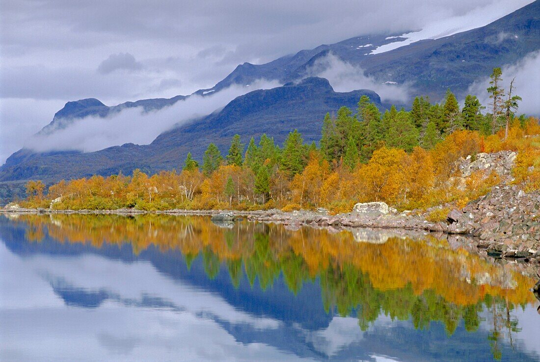 Laponia World Heritage Site, Lappland, Sweden, Scandinavia, Europe