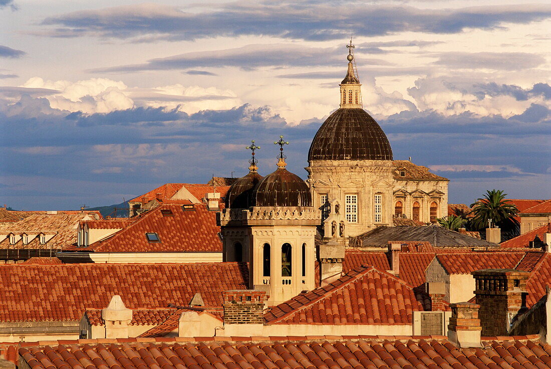 Elevated view over the Old Town tiled rooftops to the cathedral, Dubrovnik, UNESCO World Heritage Site, Dalmatia, Croatia, Europe
