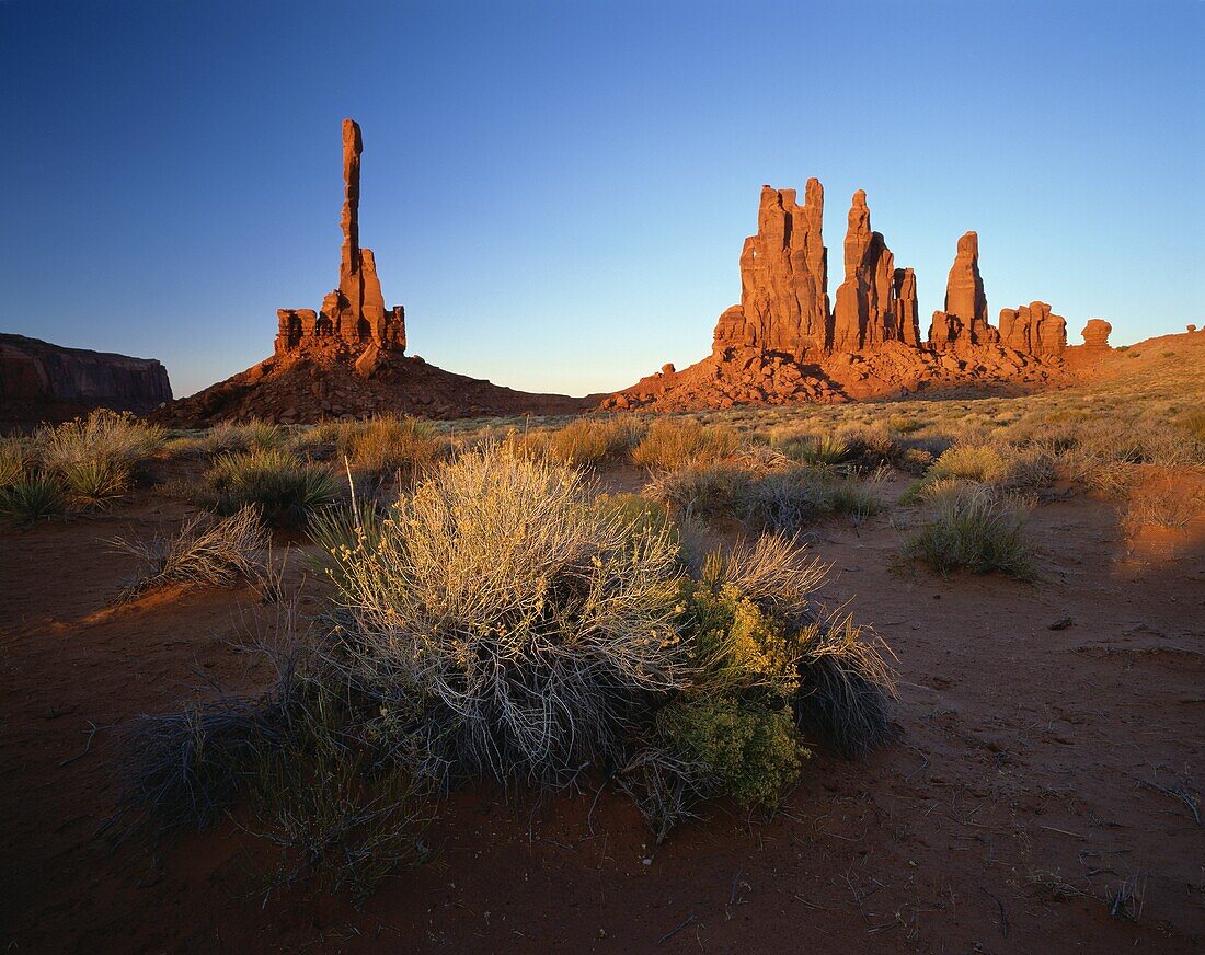 Totem Pole, Monument Valley Tribal Park, Arizona, United States of America, North America