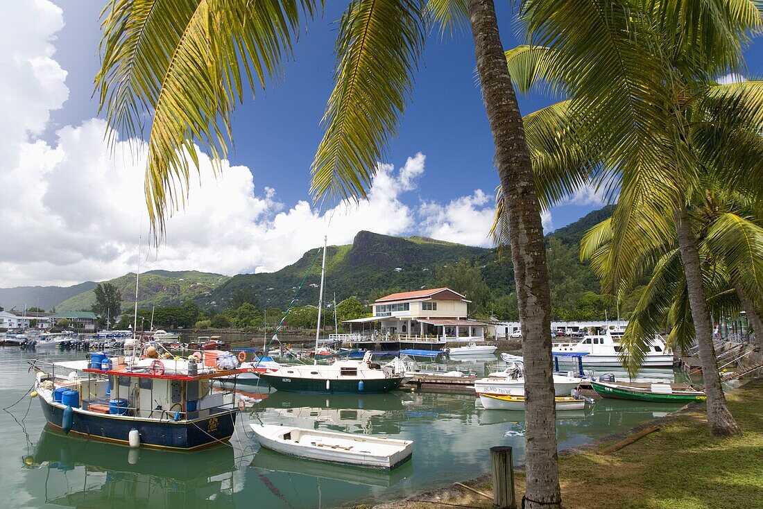 The colourful palm-lined harbour, Victoria, Island of Mahe, Seychelles, Indian Ocean, Africa