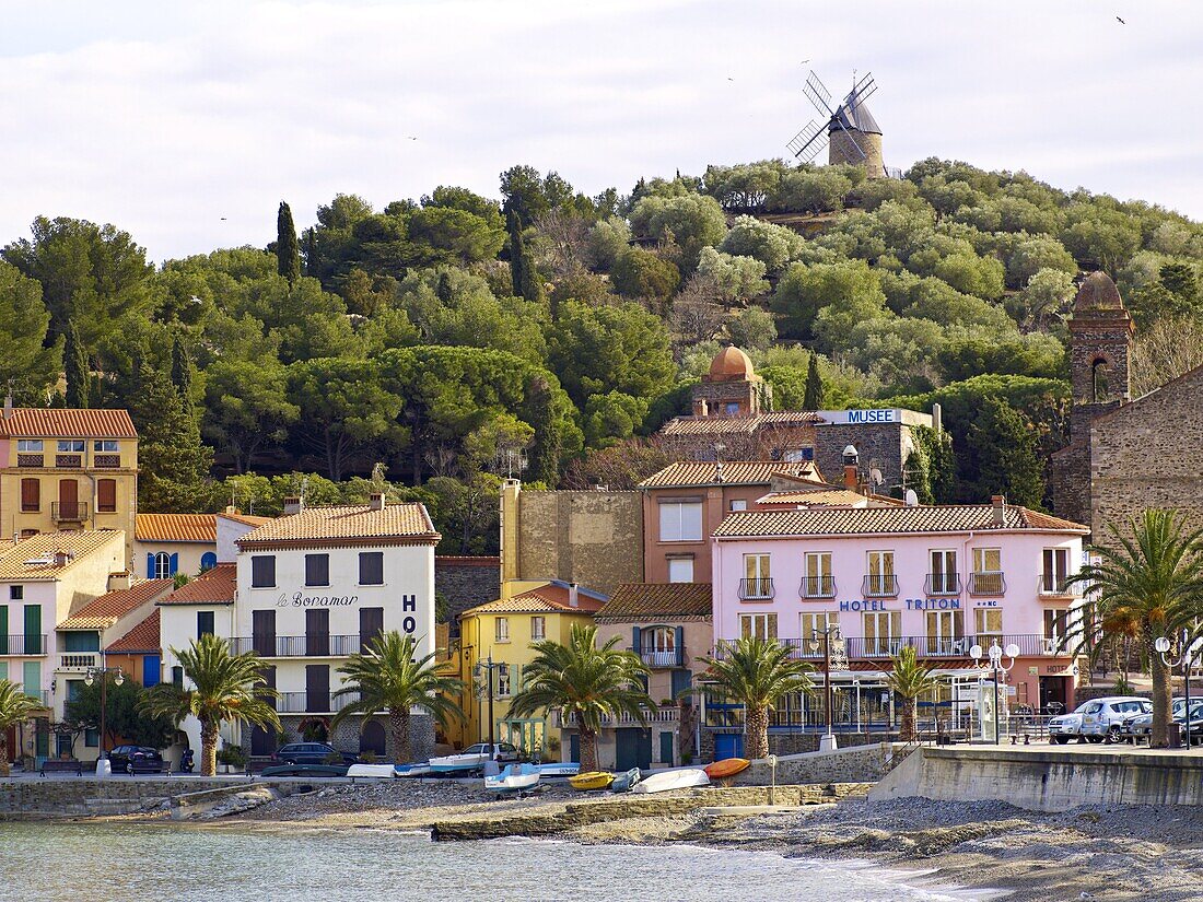 Collioure, Cote Vermeille, Languedoc coast, Roussillon, Pyrenees-Orientales, France, Mediterranean, Europe