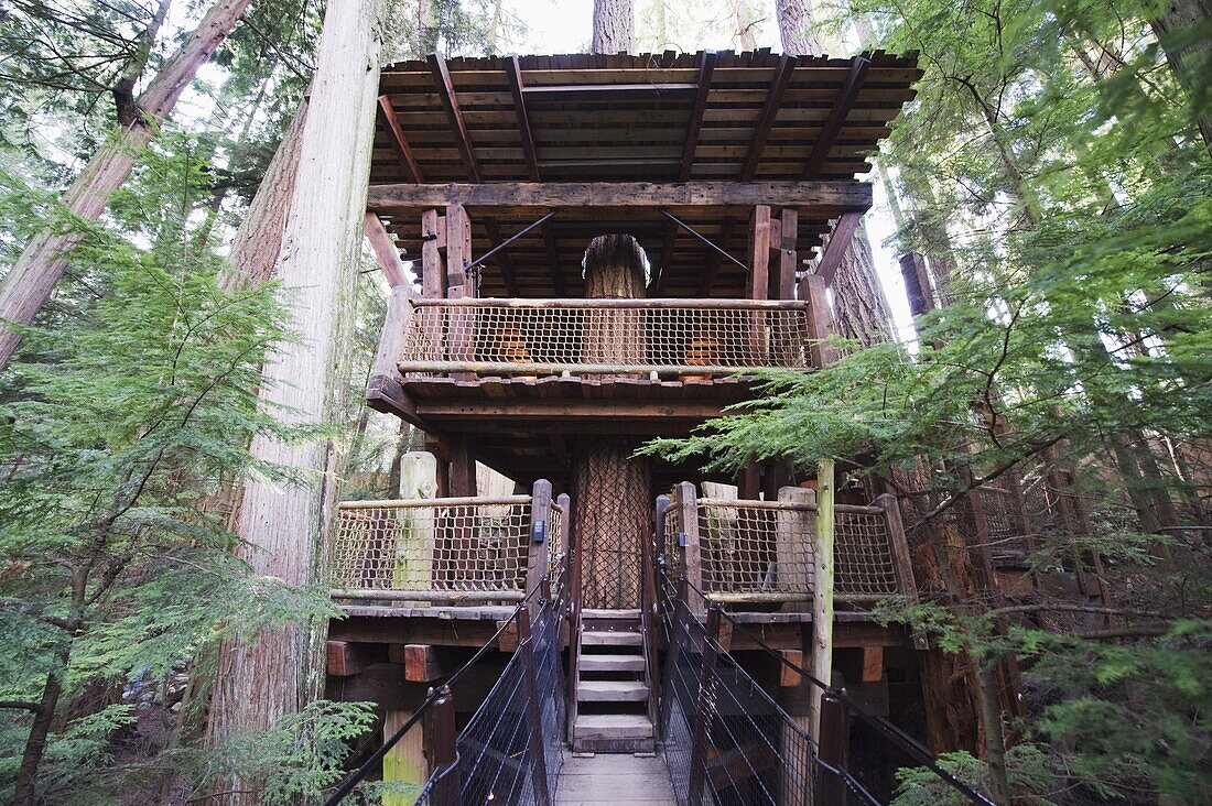 A tree house in Capilano Suspension Bridge and Park, Vancouver, British Columbia, Canada, North America