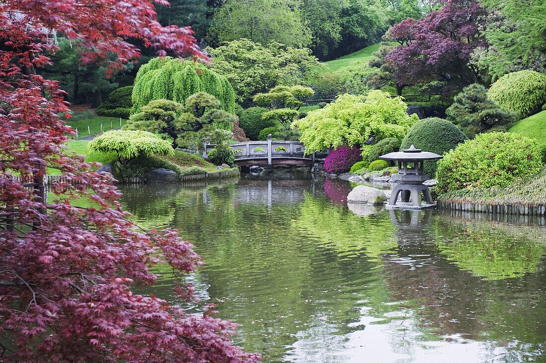 Japanese garden, Brooklyn Botanical Garden, Brooklyn, New York City, New York, United States of America, North America