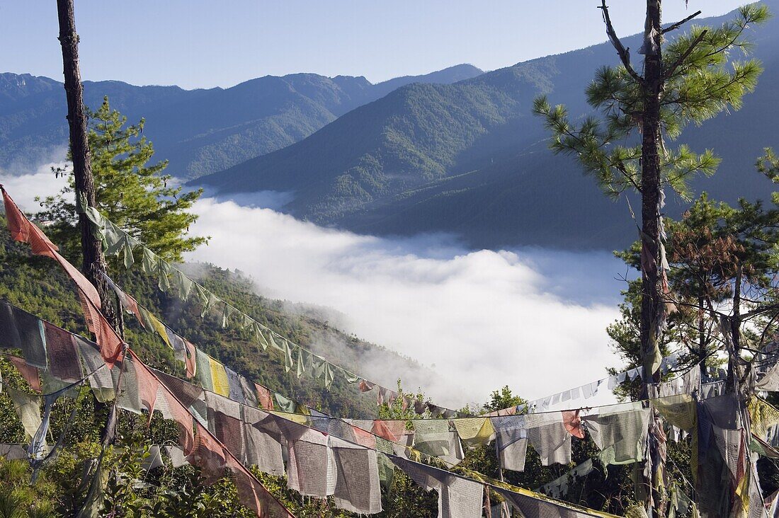 Prayer flags above Thimphu, Bhutan, Asia