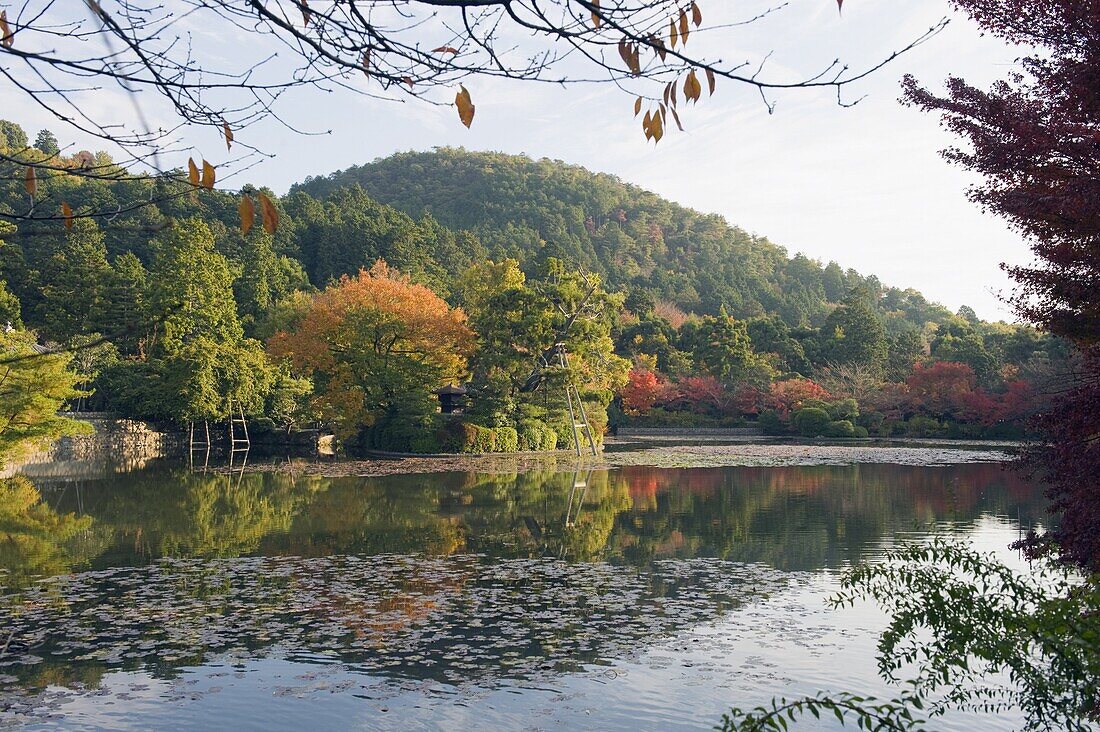 Autumn colours reflected a pond at Ryoan ji (Ryoanji) Temple dating from 1450, Kyoto, Japan, Asia