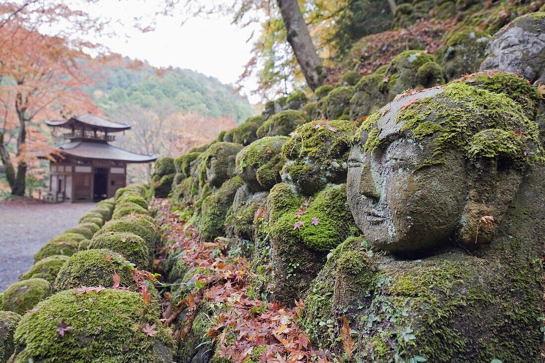 Stone statues and autumn maple leaves at Otagi Nenbutsu ji Temple, Arashiyama Sagano area, Kyoto, Japan, Asia