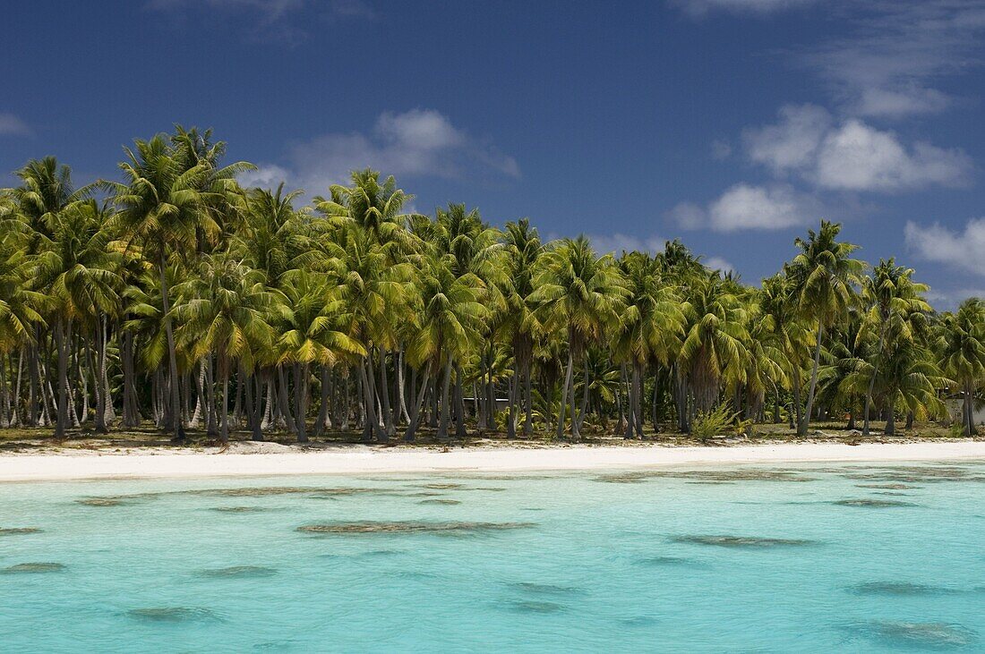 Fakarawa, Tuamotu Archipelago, French Polynesia, Pacific Islands, Pacific