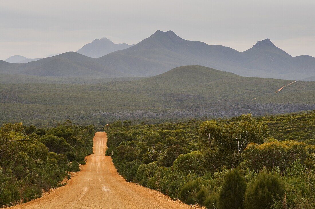 Gravel road, Stirling Range, Stirling Range National Park, Western Australia, Australia, Pacific