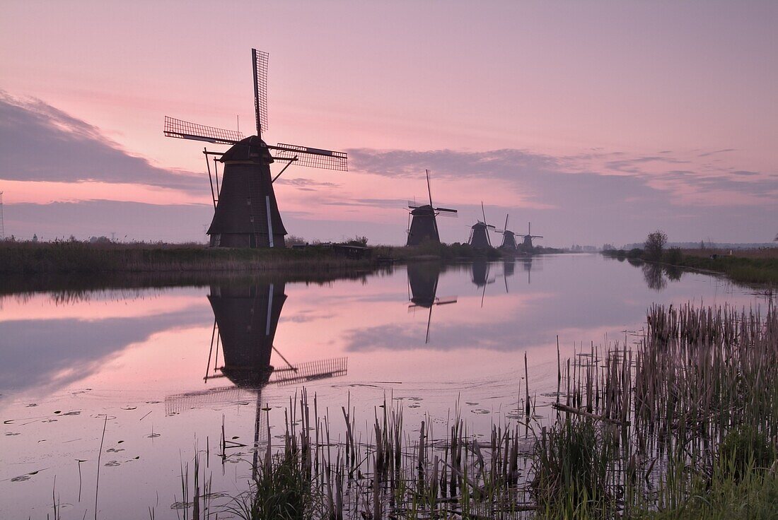 Windmills at Kinderdijk at dawn, near Rotterdam, Holland, The Netherlands