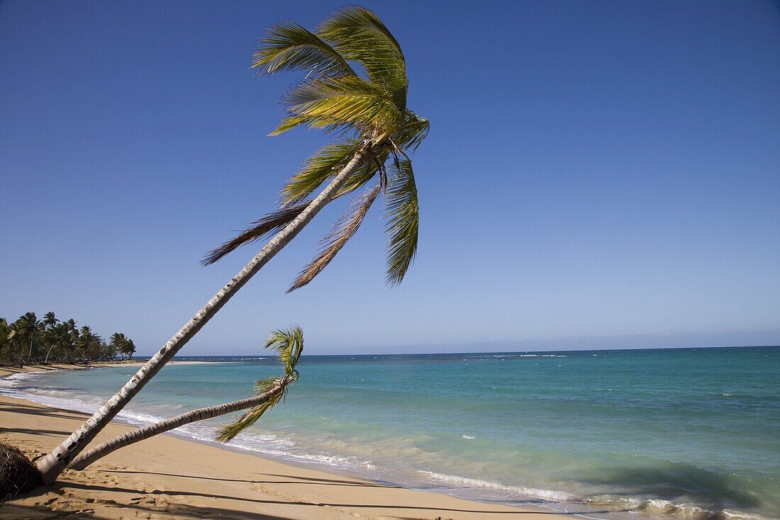 Las Terrenas, Samana Peninsula, Dominican Republic, West Indies, Caribbean, Central America