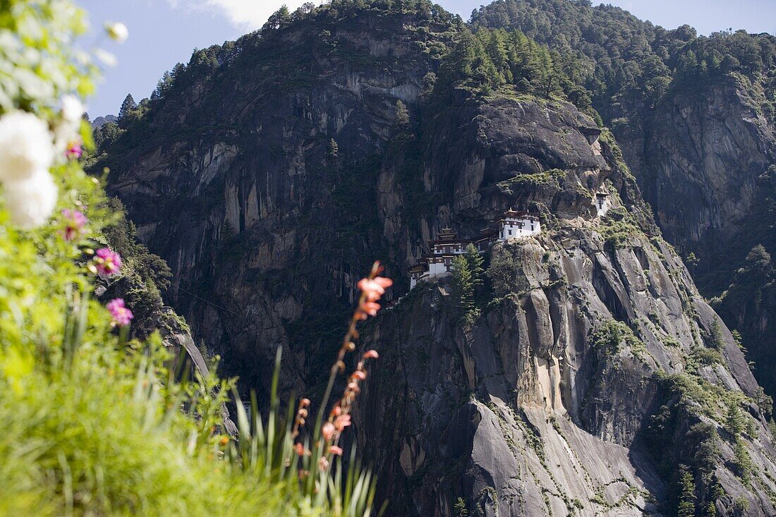 Taktshang Goemba (Tiger's Nest) Monastery, Paro, Bhutan, Asia