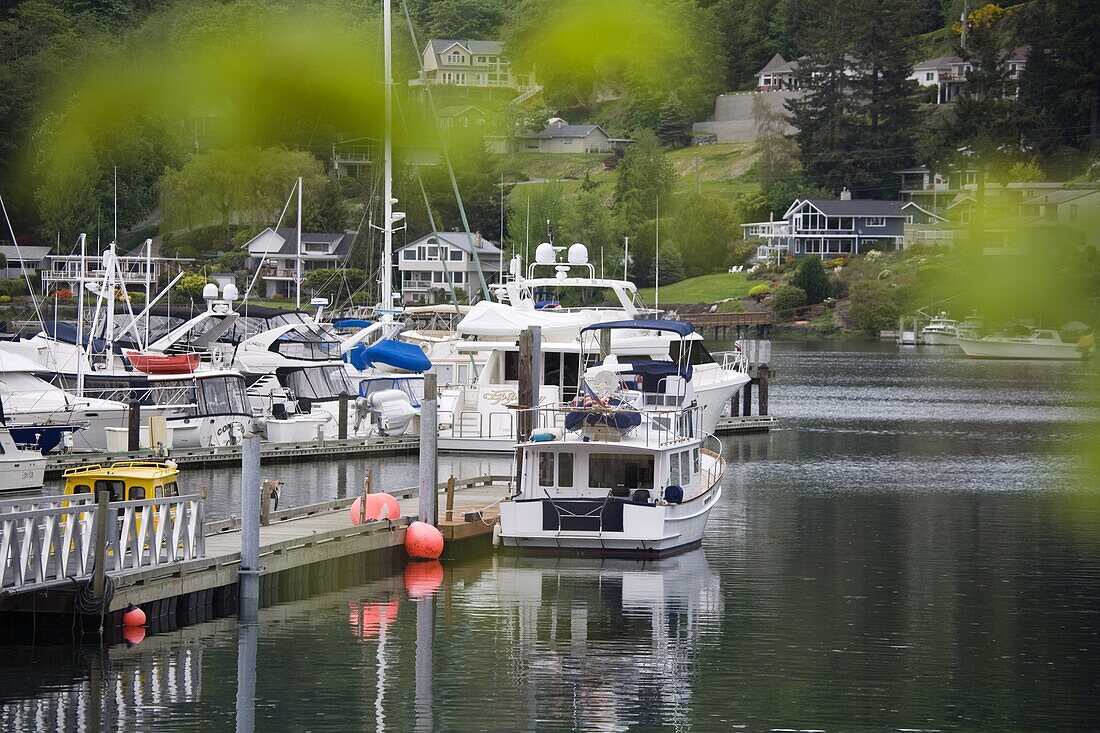 Gig Harbor Marina, Tacoma, Washington State, United States of America, North America