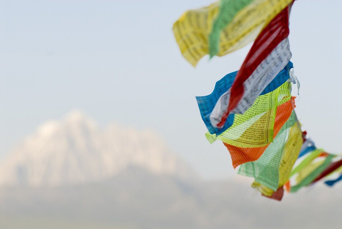 Prayer flags blowing in wind, Snow mountain, Tagong, Sichuan, China, Asia