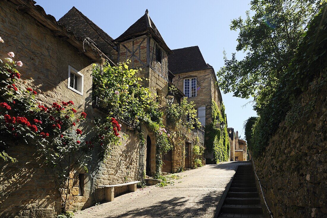 Medieval street in the old town, Sarlat, Sarlat le Caneda, Dordogne, France, Europe