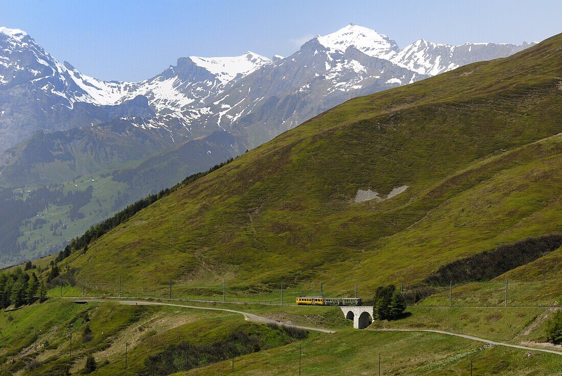 Train from Kleine Scheidegg on route to Wengen, Bernese Oberland, Swiss Alps, Switzerland, Europe