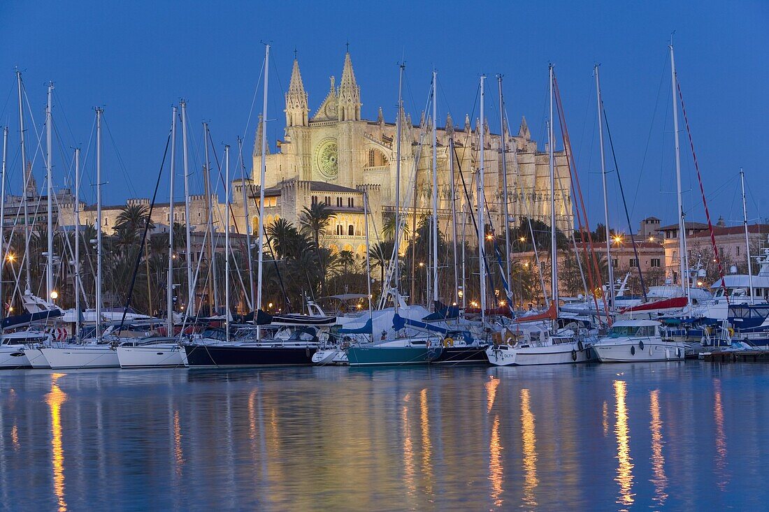 Cathedral and port, Palma, Majorca, Balearic Islands, Spain, Mediterranean, Europe